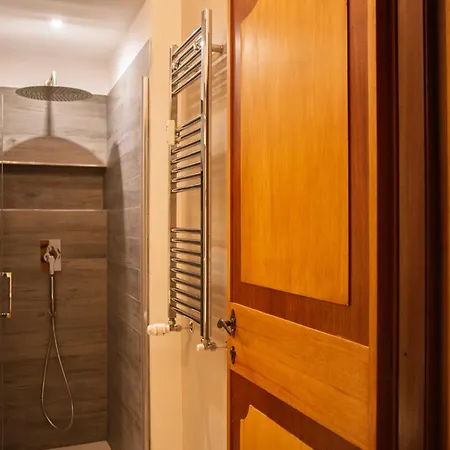 Ficus Corner - Vatican *