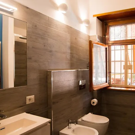 Ficus Corner - Vatican