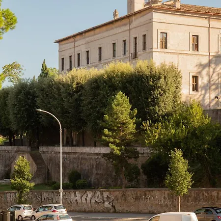 Ficus Corner - Vatican * Rom