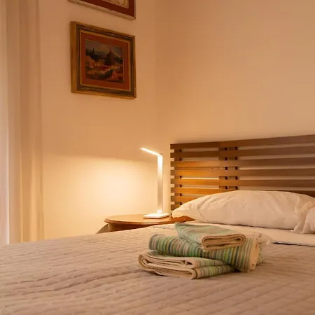 Ficus Corner - Vatican