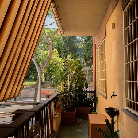 Ficus Corner - Vatican *