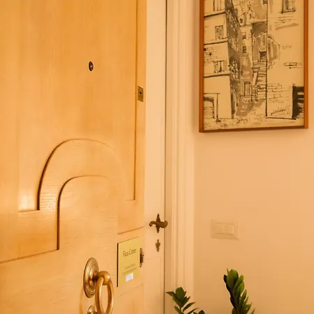 Ficus Corner - Vatican *